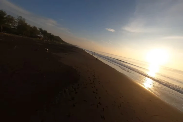 Pantai Tegalkamulyan: Surga Ketenangan di Pesisir Cilacap